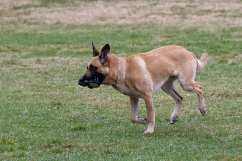8.5.2010 066c.jpg